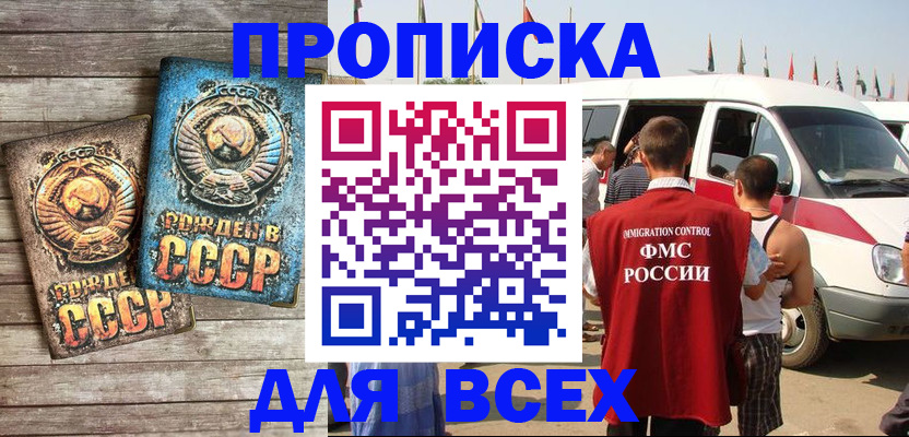 временная регистрация собственник в Бабаево